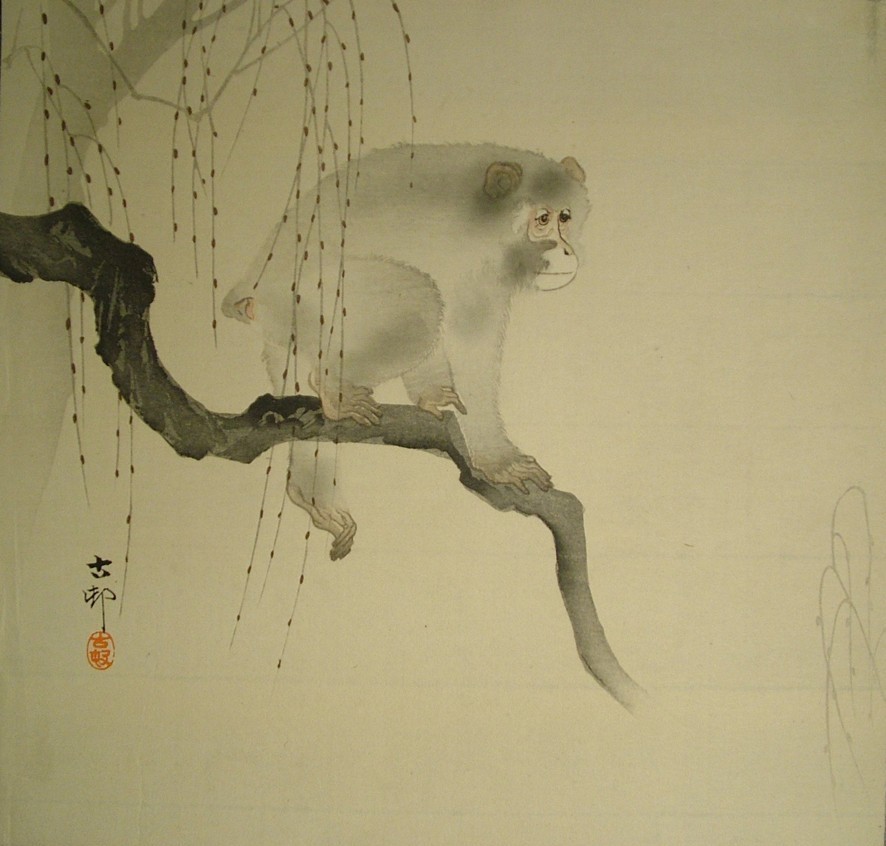 Ohara Koson (1877–1945) Monkey on a willow branch Japan Colour woodblock print 1900 EA1989.177 This print shows a Japanese macaque, a species of monkey that is native to Japan. Ohara Koson was a prolific printmaker, best known for his depictions of birds and flowers. Especially in his early work, Koson’s prints had a very painterly feel. When this print was made around 1900, Japanese prints were made by division of labour; Koson was the print designer who worked with blockcutters and printers under the direction of a publisher. 